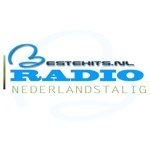 BesteHitsNL